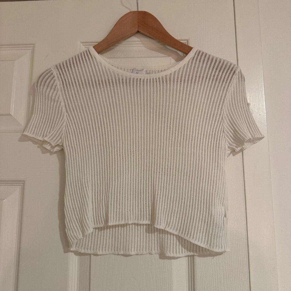 Princess Polly Sheer Ribbed Cropped Top